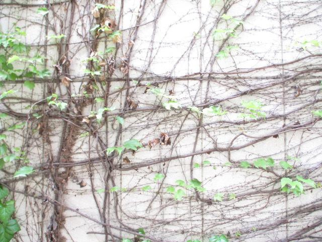 ハーモニーテラス木之免町Ⅱの展望