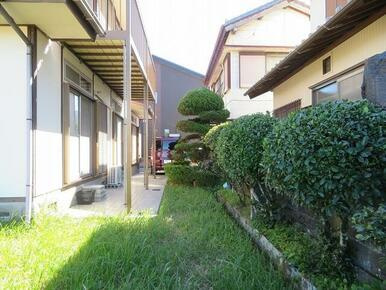 香南市野市町西野の中古一戸建の庭|芝生や植栽が立ち並ぶ「癒しのグリーン空間」☆