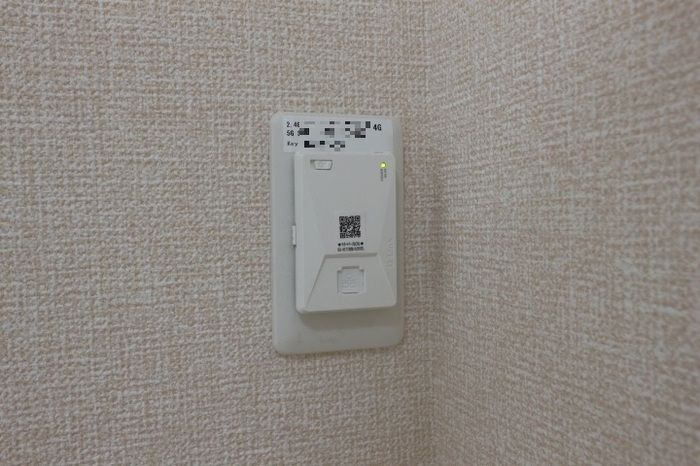 チェントラーレのその他