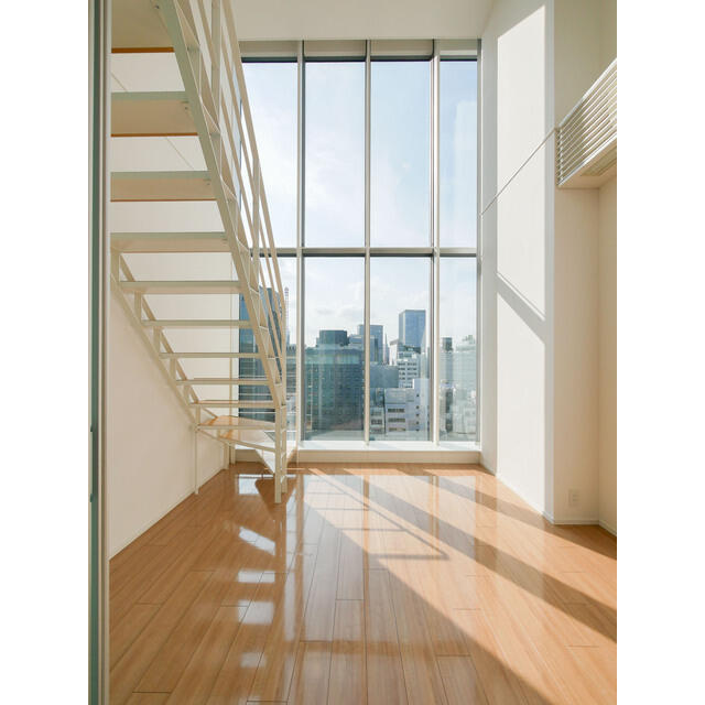 ラフィーヌ銀座(ラフィーヌギンザ)のその他