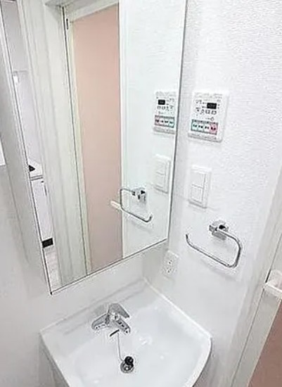 プラシア北千住の洗面所