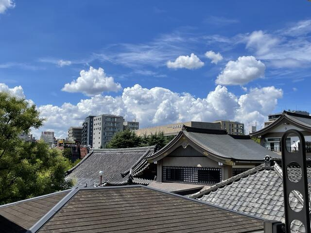 ダイナシティ浅草(ダイナシティアサクサ)の展望