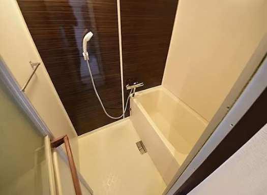 大阪市中央区内淡路町１丁目の賃貸マンションの浴室