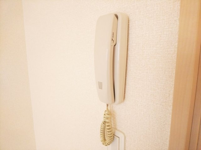 リュエルのセキュリティ