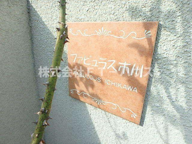 ファビュラス市川のその他