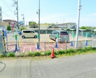 マーメイドの展望