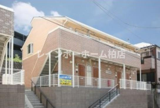 特典：仲介手数料が50％OFFです‼
