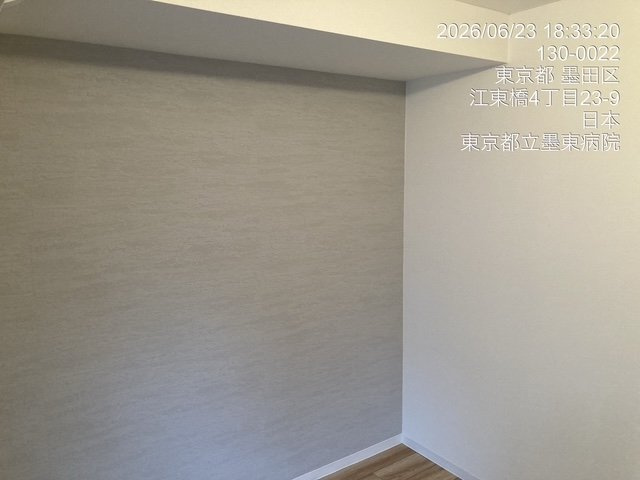 日神パレステージ錦糸町第２の洋室
