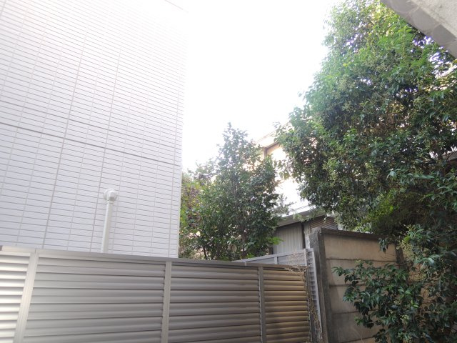【展望】