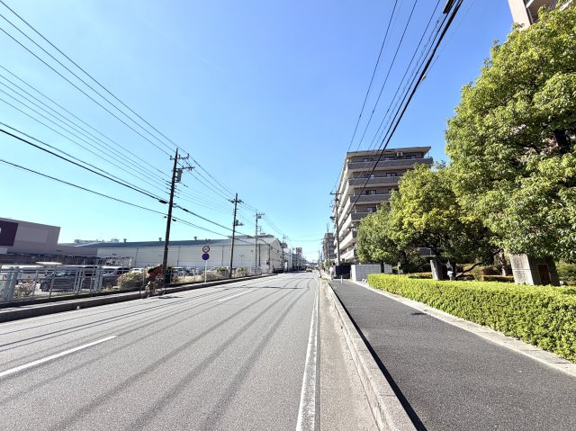 ガーデン・シンフォニー新越谷　712号室の周辺|前面道路の見通しが良く、車の駐車も安心して行えます。小さなお子様のいるご家庭も安心な住環境です。