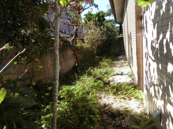 高知市孕西町の中古一戸建の庭|建物脇に広がる緑豊かな庭。庭木を眺めたり、草花を育てたりと、季節を身近に感じられます。