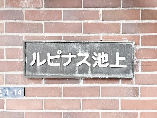 【現況写真】 | ルピナス池上 | マンション現地の様子をご覧ください。～即日のご見学可能～　お問合せはお気軽に。