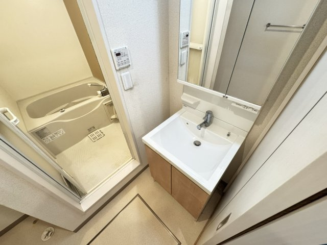 フジパレス駒川中野Ⅱ番館の洗面所