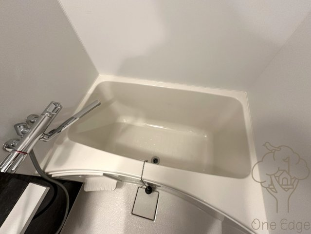 エスリード大阪セレスティアの浴室