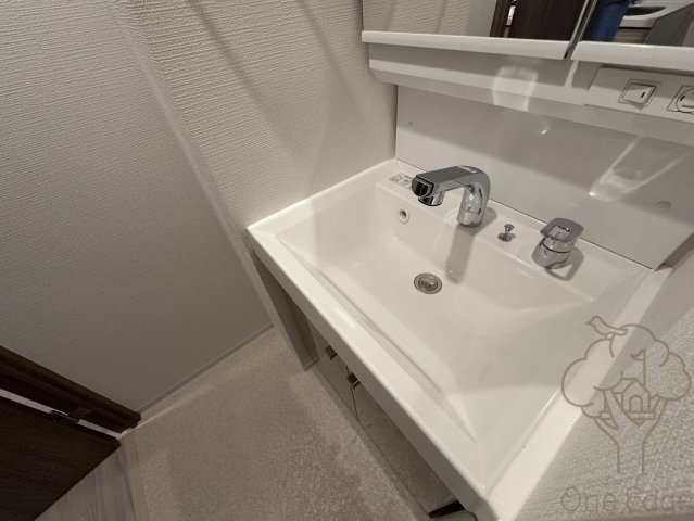 エスリード大阪セレスティアの洗面所