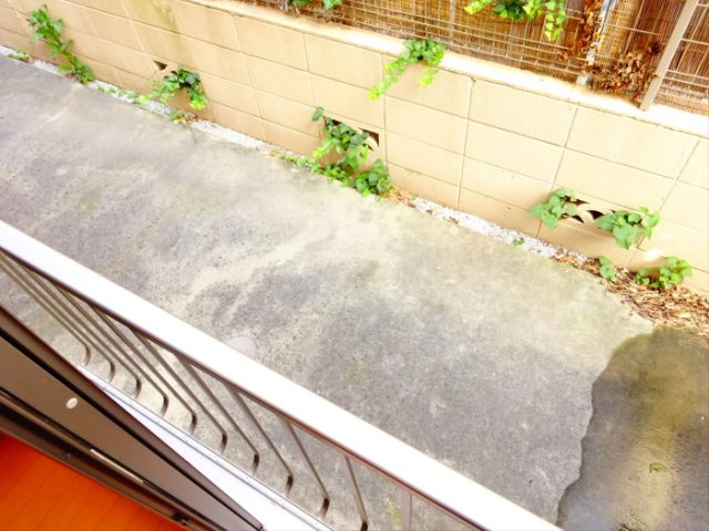 クレールの庭|お庭が付いています