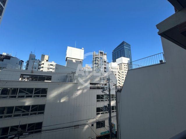 サンメゾン心斎橋セレブリテの展望|サンメゾン心斎橋セレブリテ　眺望