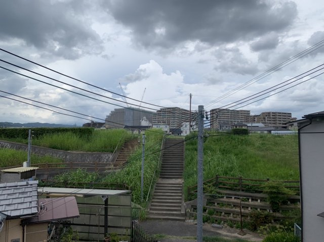 プリムローズの展望