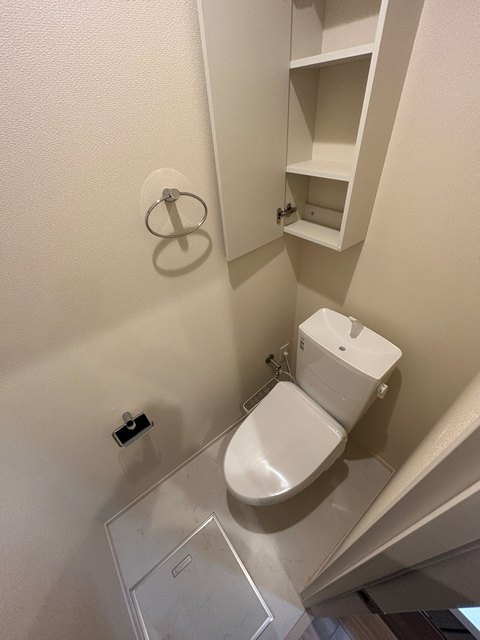 グランディフローラのトイレ