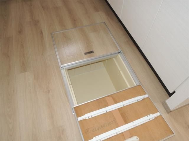 川崎市多摩区菅４丁目の賃貸マンションの収納|床下収納