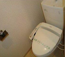 フェニックス代田橋Ｎｏｒｔｈのトイレ