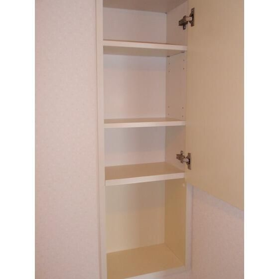 ステラメゾン武蔵小山の収納|こまごまとしたものを収納できそうですね