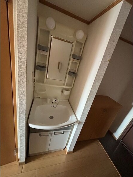 サンライズソブエの洗面所