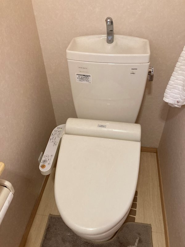 安新町杉江貸家のトイレ