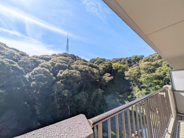 サンクレスタ緑町の展望|バルコニーからは豊かな緑と青空が一面に広がり、四季折々の自然を感じながら解放感を味わえます。