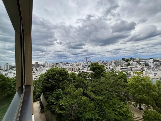 マスタービューレジデンスの展望