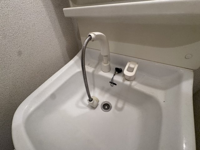 パインバンフソノの浴室