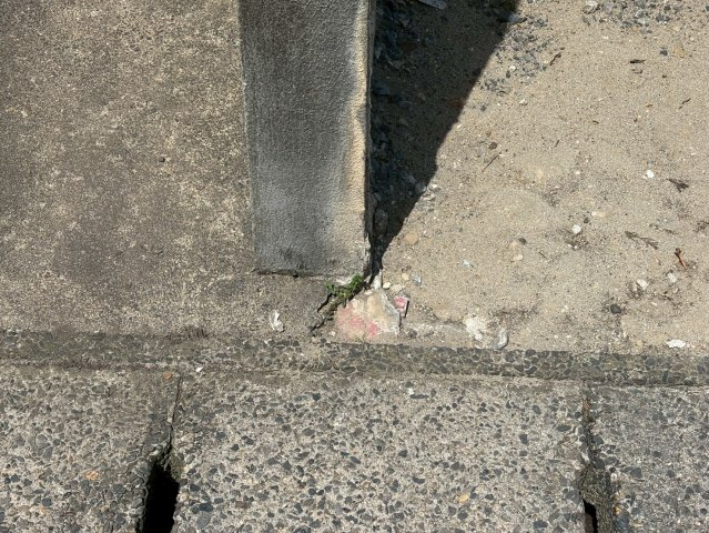 つくし野2のその他