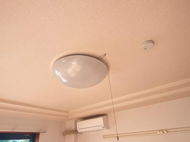 エンゼルグリーンパレスの設備|照明器具
