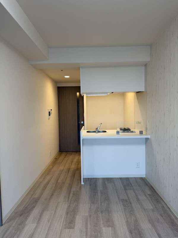 プレサンス堺筋本町ディスティニーのその他