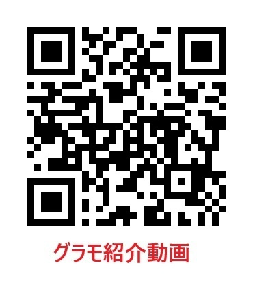 ピノコⅡのその他