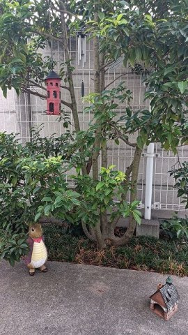 【その他】 | メゾネットシオン