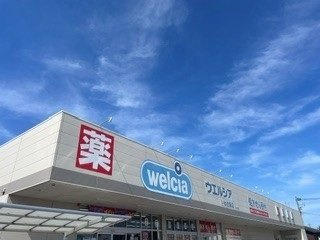 サン・プラシードＡの周辺|ウエルシアまで2600m