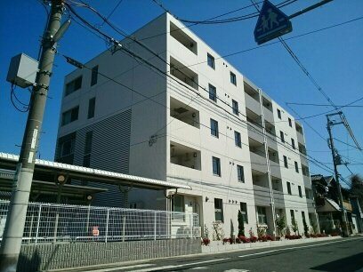 Ｖｅｌｌ　Ｓｈｉｎｅ　穂の外観