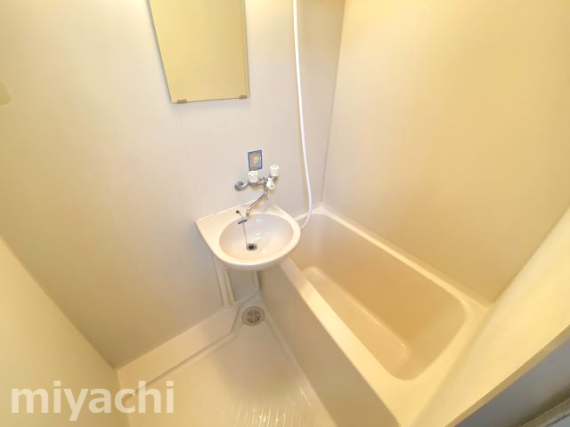 徳島市中昭和町２丁目の賃貸マンションの洗面所