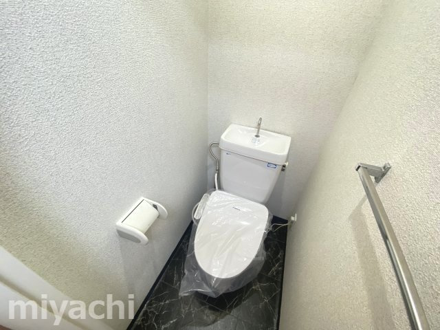 徳島市中昭和町２丁目の賃貸マンションのトイレ