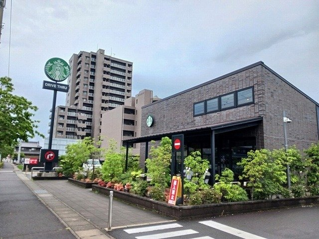 サンセール居石公園前の周辺|スターバックスさんまで500m