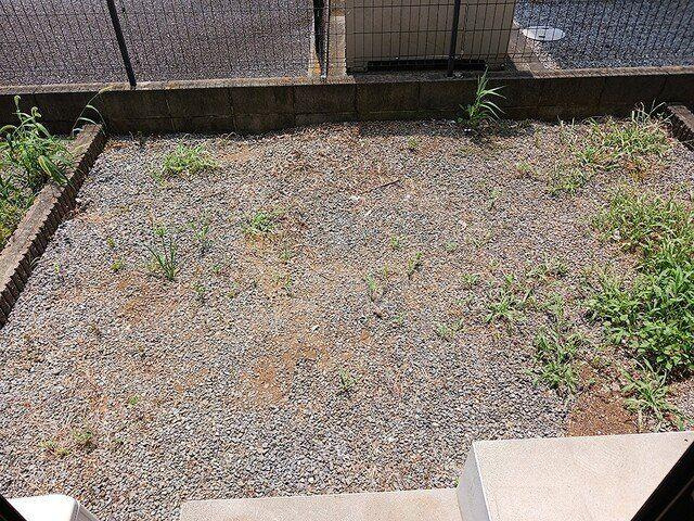ベルクの庭|簡単な家庭菜園も楽しめるお庭です