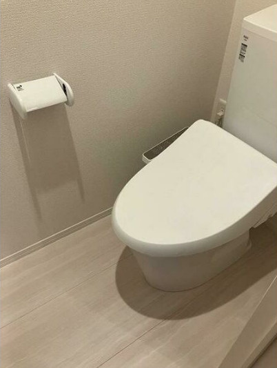 ダイヤハウスⅤのトイレ
