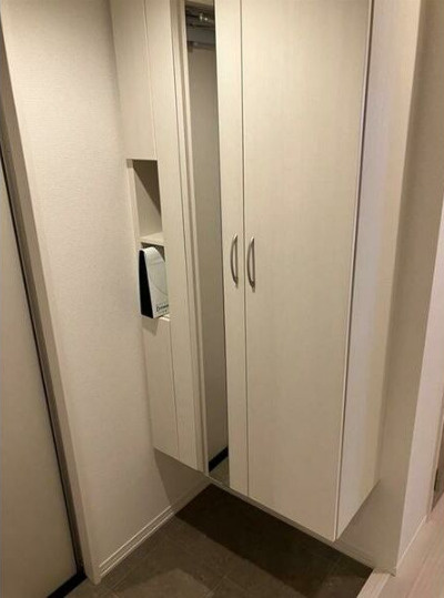 ダイヤハウスⅤの玄関
