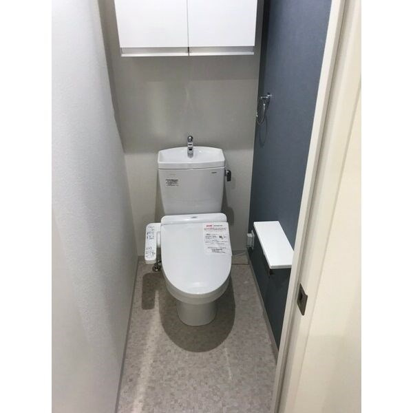エヌエムサンカンテキャトフＣ棟のトイレ