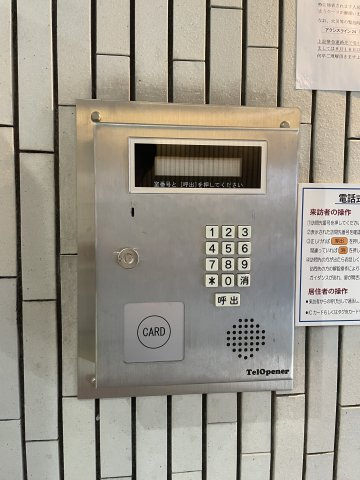 サルヴァトーレ大橋のセキュリティ