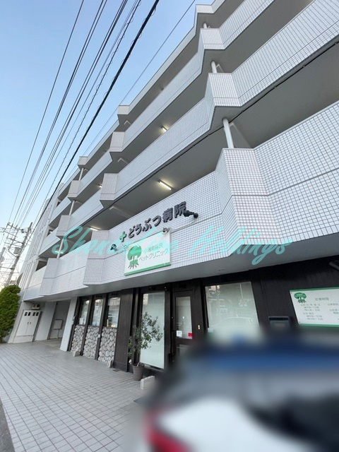 藤沢市藤が岡２丁目の賃貸マンションの外観