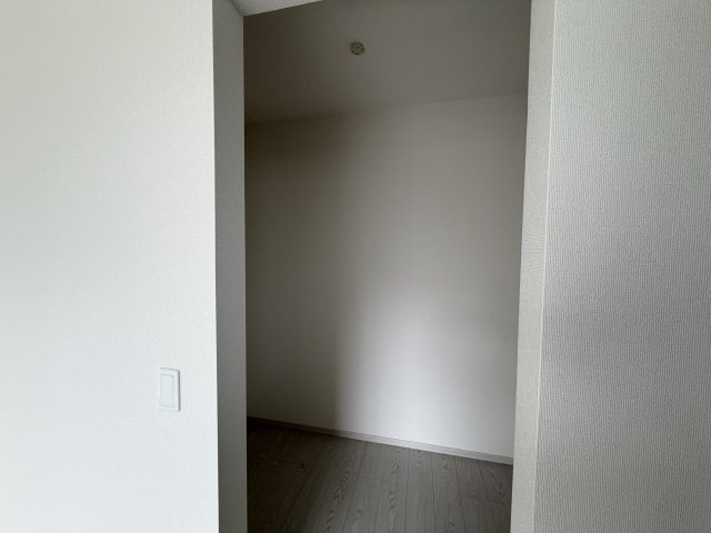 玉手　新築一戸建ての収納