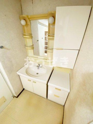メゾンベール壱番館の洗面所