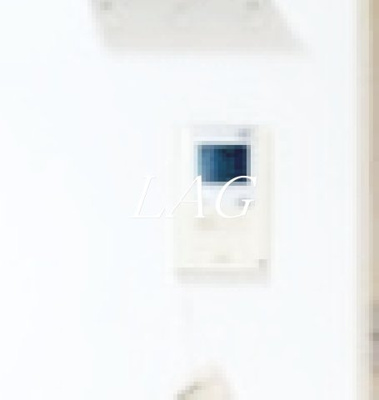 【セキュリティ】 | ブライズ品川大井DUE | モニター付きインターホンです。